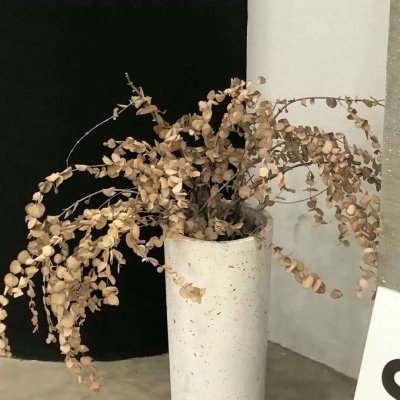 龙子湖FurryQQ群介绍